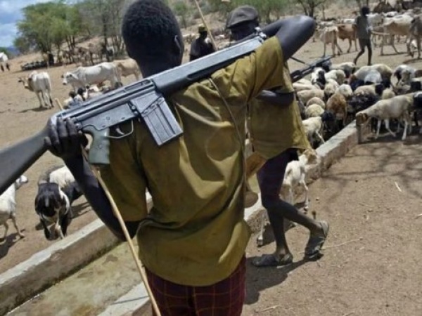 Armed Fulani Herdsmen Are Terrorists- HURIWA Restates: