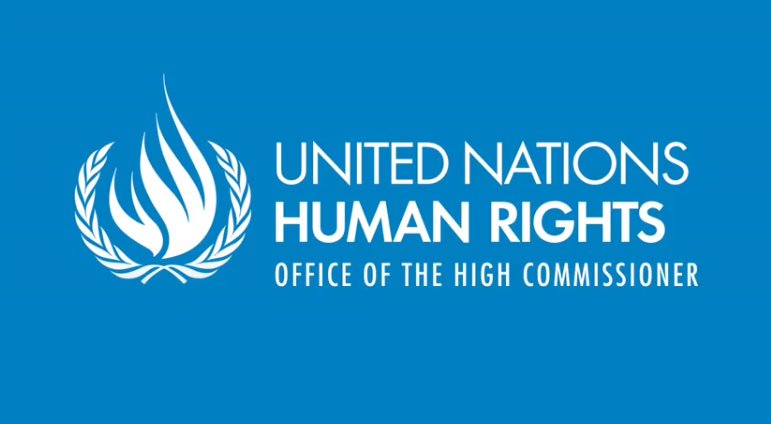 HURIWA Drags Nigeria To UN Human Rights Council Over Stifling Of Rights Commission's Independence
