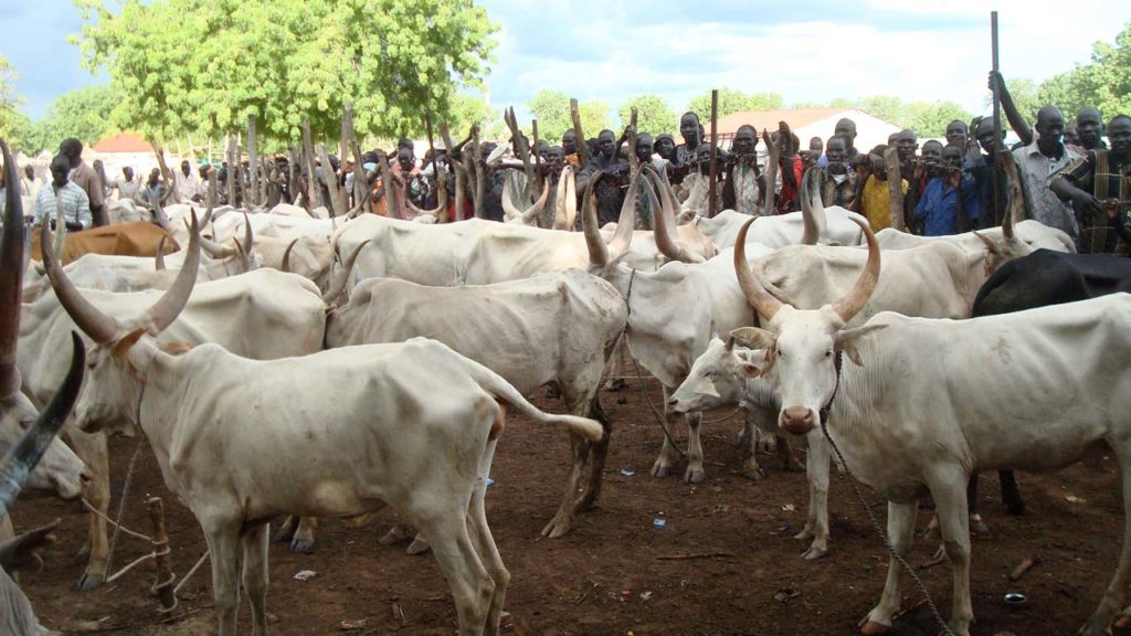 HURIWA Asks Federal Government Of Nigeria To Focus On National Security And Allow Cow Dealers Run Their Private Businesses