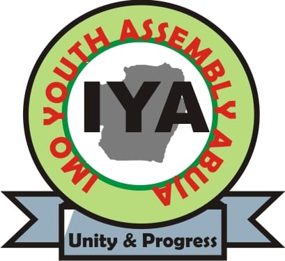 Ahead of 2023: IYA Sets Agenda, Cautions Youths on Electoral Violence