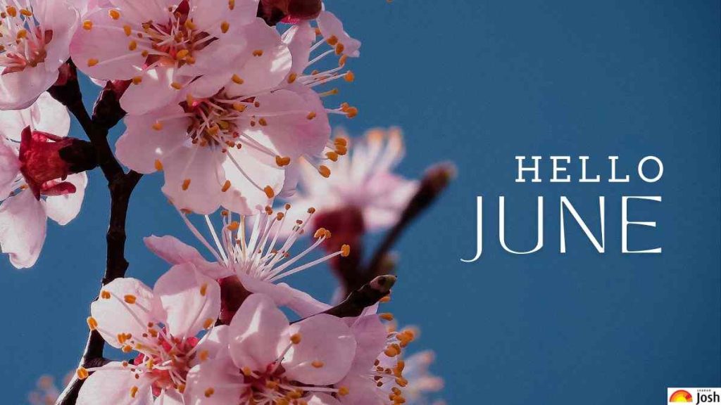 June: A Month of Blossoming Possibilities