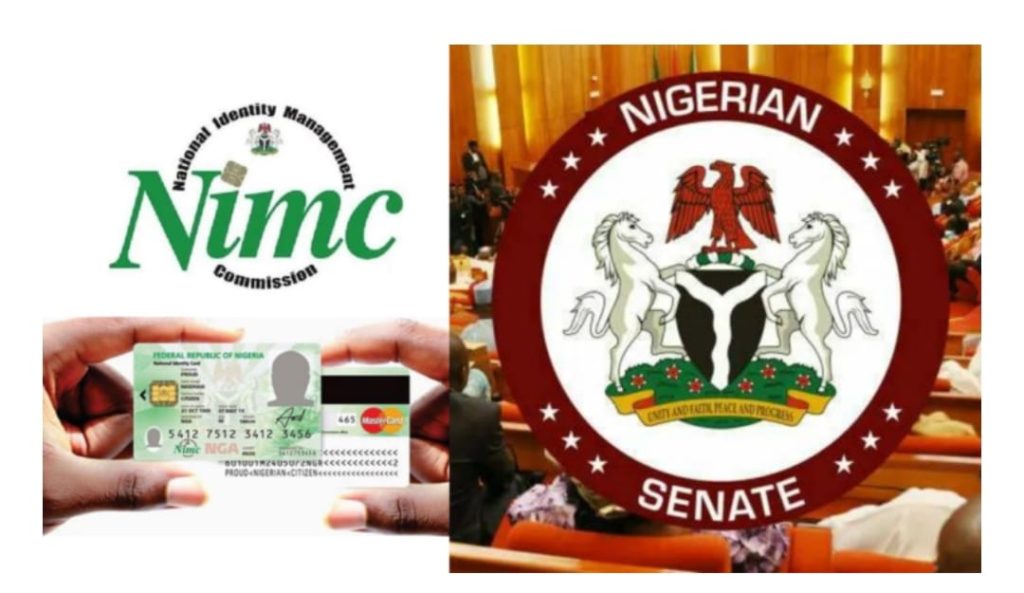 Senate Moves to Empower Foreigners with NIN Access